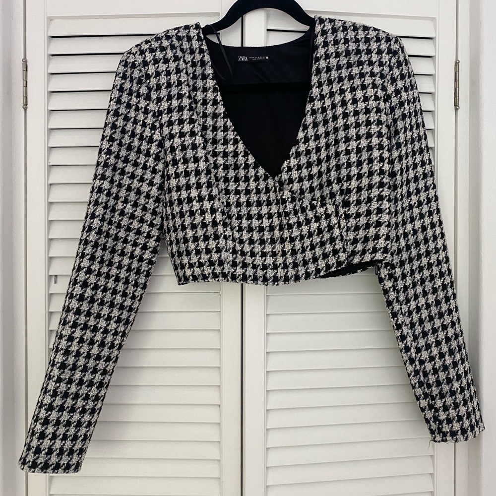 NWOT Zara Cropped Top